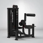 STRANGESTRENGTH back extension Y-132