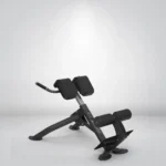 STRANGESTRENGTH BACK EXTENSION